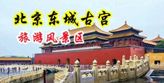 黄色片视频干屁屁中国北京-东城古宫旅游风景区